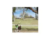 OLLY PETS Tree Tugger for Dog Toy Solo play time Interactive bungee over a tree
