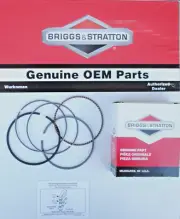 SML Genuine OEM Briggs & Stratton 843806 ring set