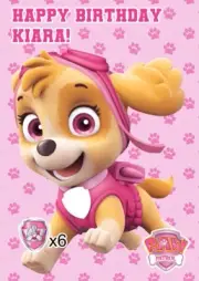 Paw Patrol Skye Pin the tail - Badge Personalised. Lolly Bag Party Cake Game