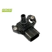 RAE MAP Sensor - MP159