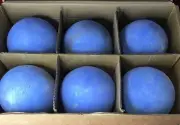 Zhenx Ceramic Fireplace Balls 5” Set of 6 for Indoor/Outdoor Fire (BLUE) NEW