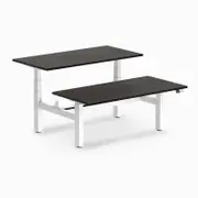 Desky Back to Back Burnished Wood Melamine Sit to Stand Office Desk 1500x750mm White Height Adjustable Leg