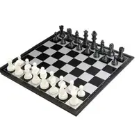 在飛比找蝦皮購物優惠-國際象棋 標準象棋 磁性 西洋棋 黑白色 折疊棋盤 小型/中