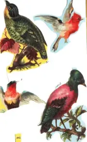 4 BIRDS Die Cut Paper Scrap Book Mamelok Press Ltd. Edmunds, England