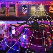 200'' Halloween Spider Web Decorations + 36'' Giant Spider for Party Yard Lawn