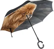Double Layer Inverted Umbrella Cars Reverse Umbrella Chow Dog Vintage Windproof UV Proof Travel Outdoor Umbrella