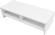 TEHAUX Double Monitor Riser Stand for Desk Ergonomic Computer Base with Ample Storage Space for Documents and Stationery Height Design to Reduce Neck Fatigue and Enhance Productivity