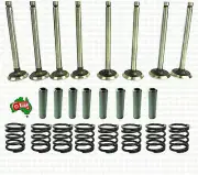 CHEAP POST Inlet Exhaust Valve Kit Fits for Massey Ferguson 80mm TE20 TEA20