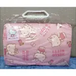 正版 HELLO KITTY小花日記記憶枕 兒童枕 汽車枕 露營枕 寬約30CM 高約20CM 厚約8CM 全新品