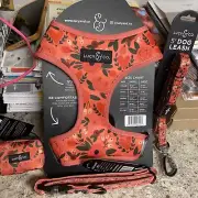 Lucy & Co Harness Collar Leash Poop Bag New Medium New