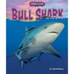 BULL SHARK