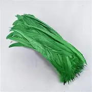 50 Pcs Rooster Feather Rooster Tail Feathers Rooster Feathers for Crafts Craft Feathers Decoration Grass EN8