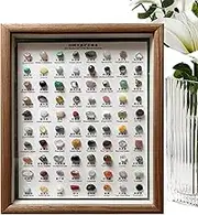 Vgvgaj Stone Collection | Set of 80 Rock Collection Raw Gemstones,Versatile Home Decoration, Classic Rough Crystal Set in Wooden Frame for Women Men