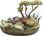 Bird Bath, Ceramic Bird Bath, Multifunctional Parrot Feeder, 10.04 Inches, Multifunctional Design, Easy to Clean for Garden Deck Decorative Parakeet Feeder