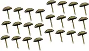 Gatuida 200 Pcs Pushpin Thumbtacks Nail Rinestoes Decorative Nails Nail Goue Nailknyd Large-headed Nails Nail Weights Thumb Tacks Nailset Drawing Pin Antique Copper Nail Round Head Nail