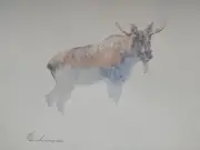 Moose, Animal, Watercolor artwork, Handmade, Original painting on paper