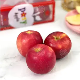 【綠之果物】櫻桃蘋果 Rockit蘋果 樂琪蘋果 樂奇蘋果 小花櫻桃蘋果 小花蘋果 無蠟蘋果 紐西蘭蘋果 黑貓冷藏宅配