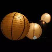 School Graduation Party Even Ribbing Paper Lantern String Light Decoration COMBO