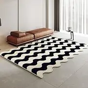 Thickened Anti-Slip Mat Bedroom Decor Black White Rug Fluffy Soft Cloakroom Carpet Carpets for Living Room,D,80x120cm