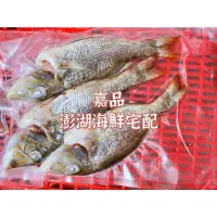 在飛比找蝦皮購物優惠-澎湖海鮮#青嘴魚#手釣#新鮮現釣#真空包裝#活體三去#青嘴#