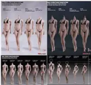 TBLeague 1/6 Seamless Female Action Figure Body 12" Flexible Doll Model Toy