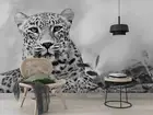 3D Gray Leopard Wallpaper Wall Mural Removable Self-adhesive 4