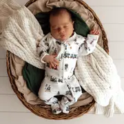Snuggle Hunny Trains Organic Snuggle Sleepsuit Zip Footie