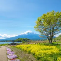 在飛比找momo購物網優惠-【喜鴻假期】【東京GO美景樂園雙享受5日】迪士尼樂園、富士山