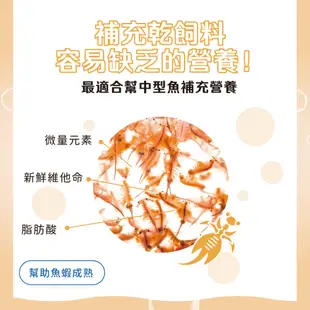 【角落水族】 營養補充豐年蝦 單片100克 盒裝5片入 金魚 神仙 七彩 豐年蝦磚 冷凍豐年蝦