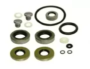 A Evinrude Johnson Outboard Gearbox Seal Kit 9.9hp 15hp 1974-thru-2005 # 396350