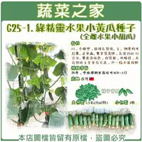 在飛比找樂天市場購物網優惠-【蔬菜之家】G25-1.綠精靈水果小黃瓜種子(全雌水果小胡瓜