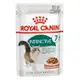 Royal Canin法國皇家 F+7W理想體態貓7+歲齡專用濕糧 85g 12包組