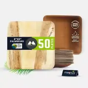 magnus | 8 Inch Square Plates 50 Pcs | Disposable Plates For Party | Like