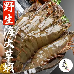 限量買10送1！南海豐【野生海大草蝦】野生海撈超大！肉質Q甜扎實海大