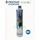 【年盈淨水器】美國 PENTAIR Everpure H-100 / H100 濾心【抑垢型】比H104壽命多出50%