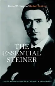 The Essential Steiner: Basic Writings of Rudolf Steiner (Paperback or Softback)