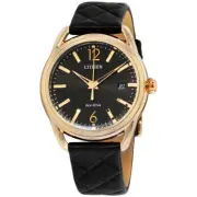 Citizen Eco-Drive Black Men's Watch - FE608313E