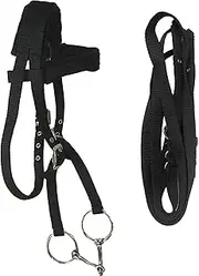 MP2MINGPIN Reinforced Horse Reins and Bridle(Foam Padding) Adjustable PP Webbing Chafe Resistant Removable Reins(Large)