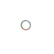 Rossan Hinged Segment Nose Ring Rainbow NS6000RB 10mm 18g
