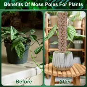 4Pcs Moss Pole 15.7" Reusable Plastic Plant Pole Stick Transparent Plant jeJmO