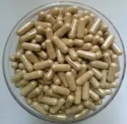 Panax Ginseng Extract 80% Ginsenosides Pure & quality Ginseng Extract CAPSULES