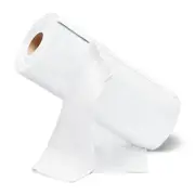 Tear-Away Paperless Paper Towels Roll, Microfiber Towels, 50 Pack, 12'' x 12'...