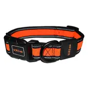 Scream Reflective Adjustable Dog Collar Loud Orange Small 2 x 28-40cm