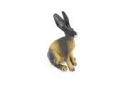 Jackrabbit, Rabbit, Hare, Bunny, Realistic Rubber Model, Hand Painted Toy 3"