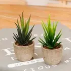 2 Pcs Simulation Succulent Potted Plant Simulated Succulents Artificial Plants