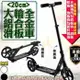 【現貨】柚柚的店【大輪20cm鋁合金摺疊滑板車03064-190】雙輪踏板 蛙式車 運動車 代步車 踏板車 兩輪車