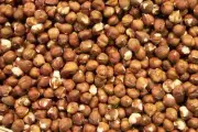 Hazelnuts Nuts Raw Unsalted Filberts ( 5 POUNDS )