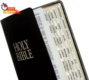 Tabbies Gold-Edged Bible Indexing Tabs, Old & New Testament, 80 Tabs Including 6