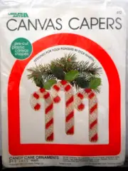 Leisure Arts Canvas Capers Plastic Canvas Kit Candy Cane Christmas Ornaments 412
