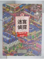 迷宮偵探：尋找消失的迷宮石_HIRO KAMIGAKI【T8／少年童書_FHX】書寶二手書